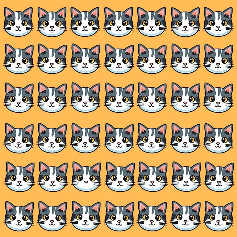 Diese optische Täuschung ist nur für Menschen mit einem grandiosen IQ möglich / Moje image