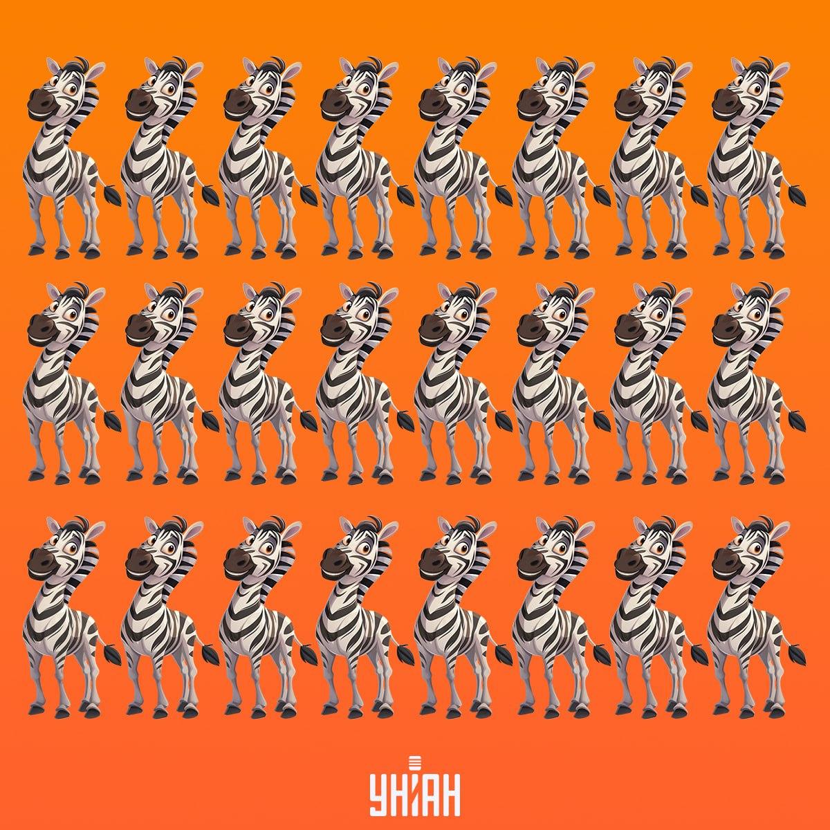 Es ist an der Zeit, ein Zebra zu finden, das nicht wie die anderen ist / Collage von Moje