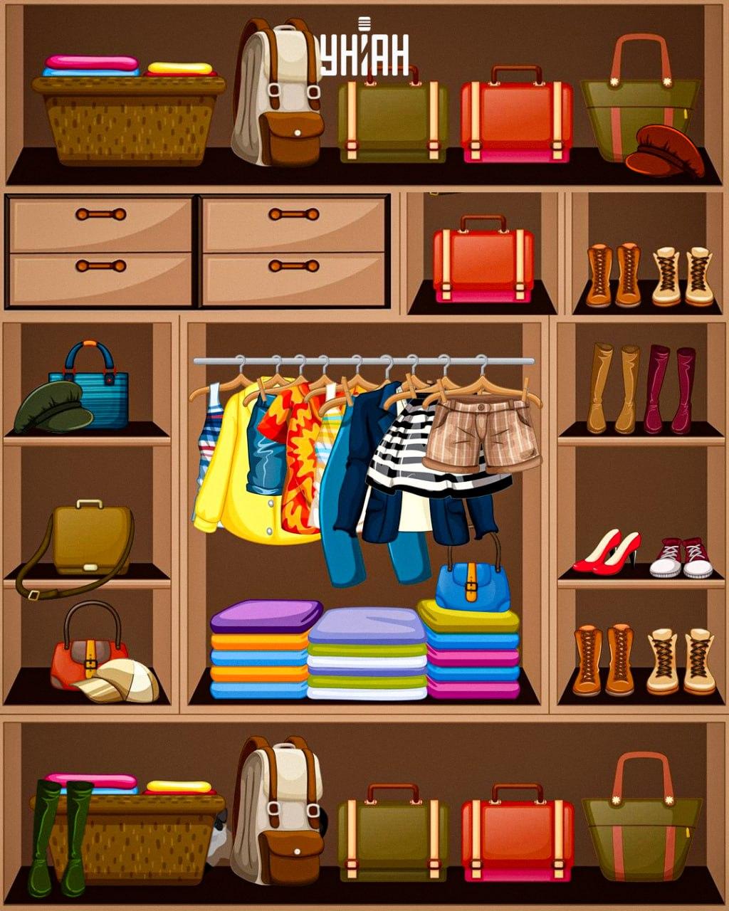 Suche nach einer schlauen Katze / Collage Moje