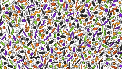 Ein kniffliges Rätsel für die Aufmerksamsten: Sie müssen die Spinne in 13 Sekunden finden.