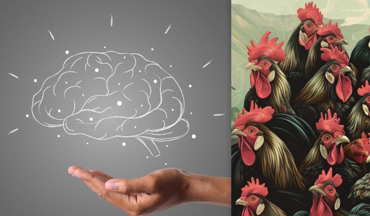 Einfacher IQ-Test: Finde das Huhn unter den Hähnen in 7 Sekunden