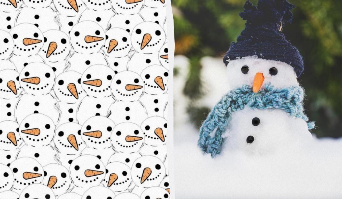 In 11 Sekunden 3 Störche unter Schneemännern finden: eine erstaunliche optische Täuschung