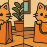 IQ-Test: Finde 3 Unterschiede in einem Bild einer süßen Katze