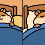 IQ-Test: Finde 3 Unterschiede in einem Bild von einem schlafenden