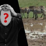 Schneller IQ-Test: Finde einen Hund auf einem Feld in 6