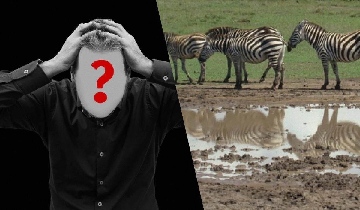 Schneller IQ-Test: Finde einen Hund auf einem Feld in 6 Sekunden